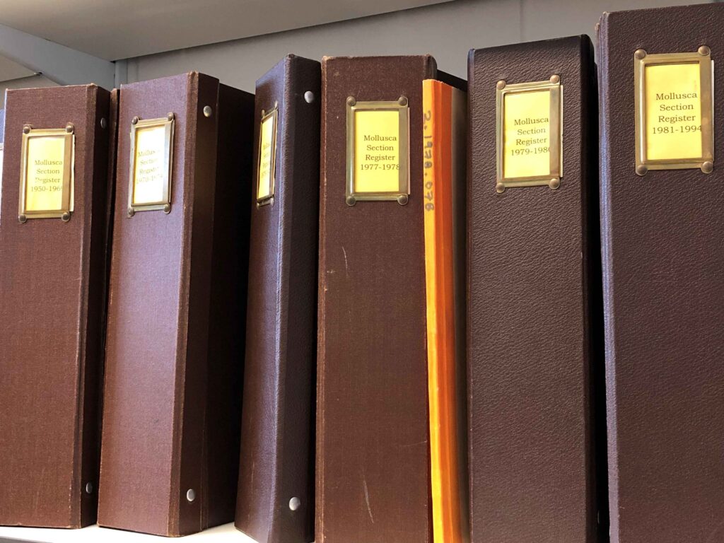 A row of brown box files with yellowing description labels saying Mollusca Section Register. The six boxes have date periods from the 50s to 94.