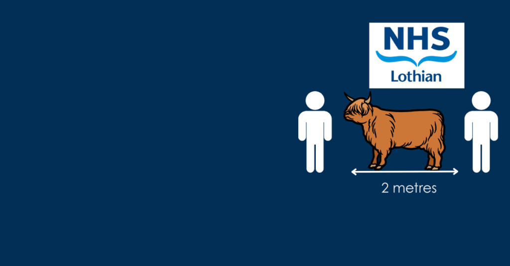 Dark blue background with two people icons separated by a ginger highland cow. Underneath the hairy coo is a line saying two metres indicating the amount of social distancing required. Above the coo is the NHS Lothian logo.