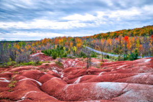 Photo of blue sky with fluffy white clouds. The foreground is made of bright red clay with large white streaks. The ground ripples in large ridges about 2 feet wide and 1 foot tall. A couple of scrubby trees try to grow on this clay. Beyond in the middle to far distance is a colourful autumnal forest, and a road can be seen going through the forest.